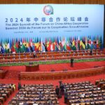 CHINA-AFRICA SUMMIT, A PLUS FOR THE AFRICAN ANATOMY?