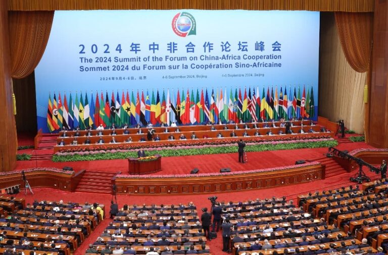 CHINA-AFRICA SUMMIT, A PLUS FOR THE AFRICAN ANATOMY?